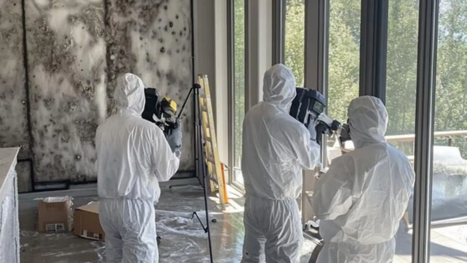 Three technicians in protective suits with cameras inspecting a mold-affected room