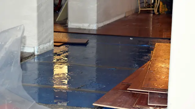 Wet hardwood planks lifted from a subfloor covered with plastic sheeting