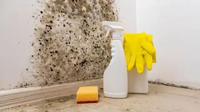 Black mold on a wall corner with a spray bottle, sponge and gloves