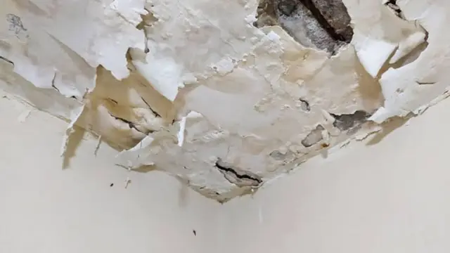 Peeling water-damaged paint at a ceiling corner